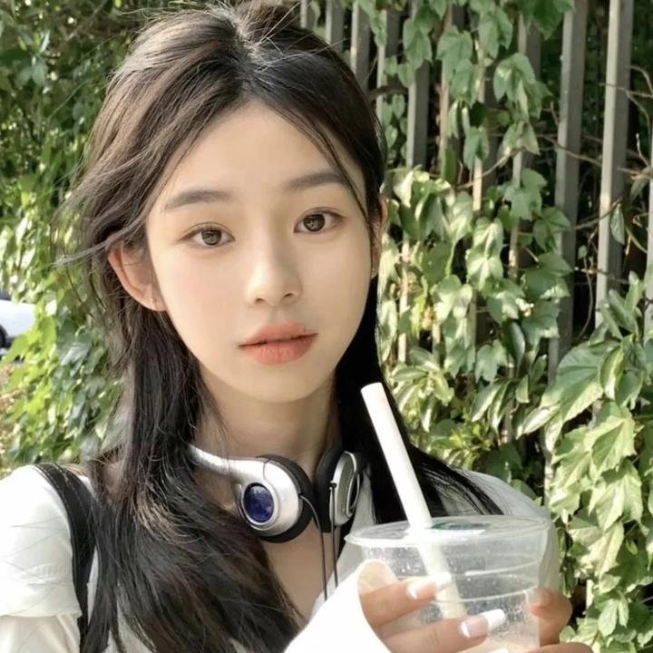 精武飞鸿